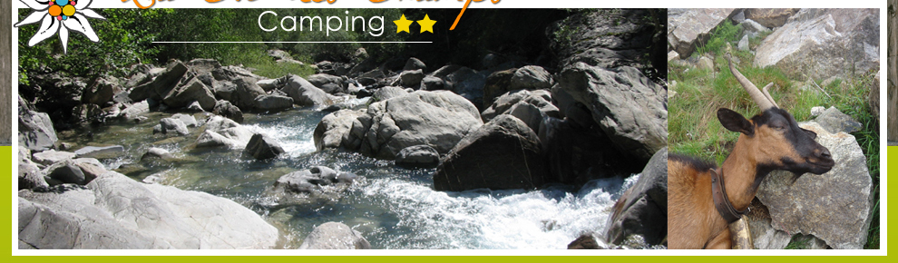 Camping Caravanes Campings Location Chalet Mobil home