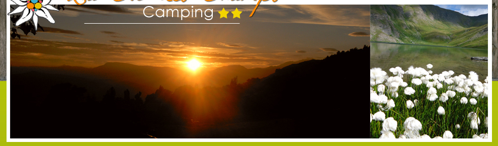 Camping Caravanes Campings Location Chalet Mobil home